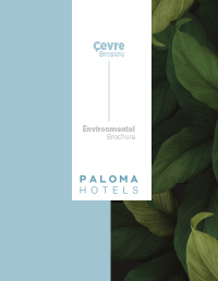 Covid 19 Sonrası Paloma’da Haya